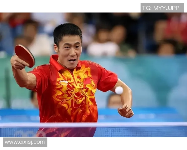 2010年乒乓球赛王皓与王励勤的巅峰对决与精彩瞬间回顾